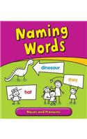 Naming Words: Nouns and Pronouns(Getting to Grips with Grammar)