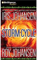 Storm Cycle