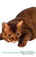 Abyssinian Cat Affirmations Workbook Abyssinian Cat Presents: Positive and Loving Affirmations Workbook. Includes: Mentoring Questions, Guidance, Supporting You.