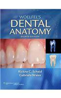 Woelfel's Dental Anatomy [With Access Code]