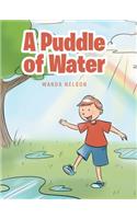 A Puddle of Water