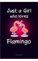 Just a Girl who loves Flamingo