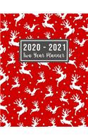 2020-2021 Two Year Planner: 2020-2021 see it bigger planner - Christmas Deer Cover - 2 Year Calendar 2020-2021 Monthly - 24 Months Agenda Planner with Holiday - Personal Appoin(25 2 Year Monthly Planner 2020-2021)