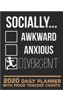 Socially Divergent, 2020 Daily Planner with Mood Tracker Charts