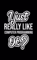 I Just Really Like Computer Programming Ok?