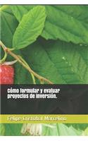 Cómo formular y evaluar proyectos de inversión.