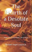 Rebirth of a Desolate Soul