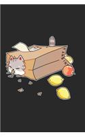 Lazy Cat Notebook: Graph Paper Journal 6x9 - 120 Pages