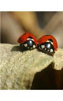 Ladybugs on a Leaf Dot Grid Bullet Journal: 150 Page Notebook 8 X 10 Inches