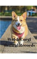Welsh Corgi Medical Records