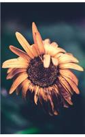 The Botanical Collection