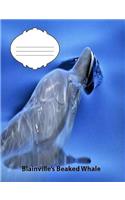 Blainville's Beaked Whale Wide Ruled Line Paper Compositiion Book: Whale fans, Elementary Students, Causal writing book, school supplies, Teen Journal