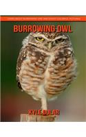 Burrowing Owl! Learn about Burrowing Owl and Enjoy Colorful Pictures