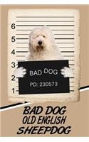 Bad Dog Old English Sheepdog