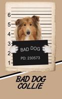 Bad Dog Collie: Blood Sugar Diet Diary Journal Log Notebook Featuring 120 Pages 6x9