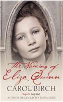 The Naming Of Eliza Quinn
