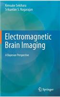 Electromagnetic Brain Imaging