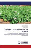 Genetic Transformation of Potato