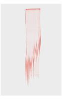 Daniel Brush