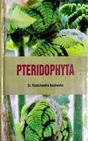 Pteridophyta