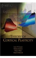 Theory of Cortical Plasticity