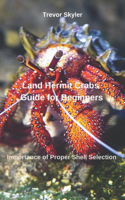 Land Hermit Crabs Guide for Beginners