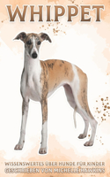 Whippet