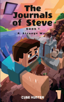 Journals of Steve Book 1: A Strange World