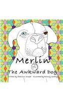 Merlin The Awkward Dog