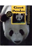 Giant Pandas