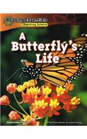 A Butterfly's Life