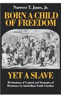 Born a Child of Freedom, Yet a Slave: Mechanisms of Control and Strategies of Resistance in Antebellum South Carolina(English)