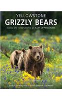 Yellowstone Grizzly Bears