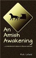 Amish Awakening