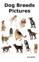 Dog Breeds Pictures