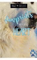 Pawprints On My Heart 29