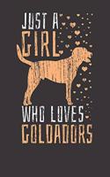 Goldador Notebook: Dog Just A Girl Who Loves Dogs Vintage 6x9 College Ruled 120 Pages Student Teacher School