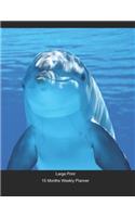 Large Print - 2020 - 15 Months Weekly Planner - Ocean Aquatic - Dolphin Smiling