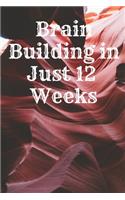 Brain Building in Just 12 Weeks