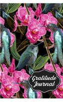 Hummingbirds: Gratitude Journal, 6x9 120 pages