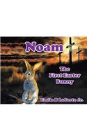 Noam-The First Easter Bunny