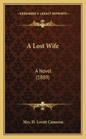 Lost Wife: A Novel (1889)