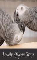 Lovely African Greys 2018