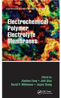 Electrochemical Polymer Electrolyte Membranes