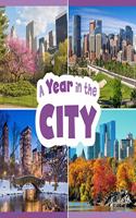 A Year in the City