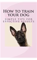 How to train your dog: simple tips for effective results