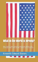 What in the World is Wrong?: Why is there so much controversy, division and confusion in the world today? Who is right and who is wrong? Can we even know?