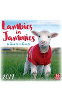 2019 Lambies in Jammies & Goats in Coats 16-Month Wall Calendar: By Sellers Publishing: By Sellers Publishing