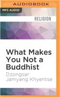 What Makes You Not a Buddhist