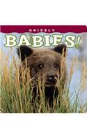 Grizzly Babies!